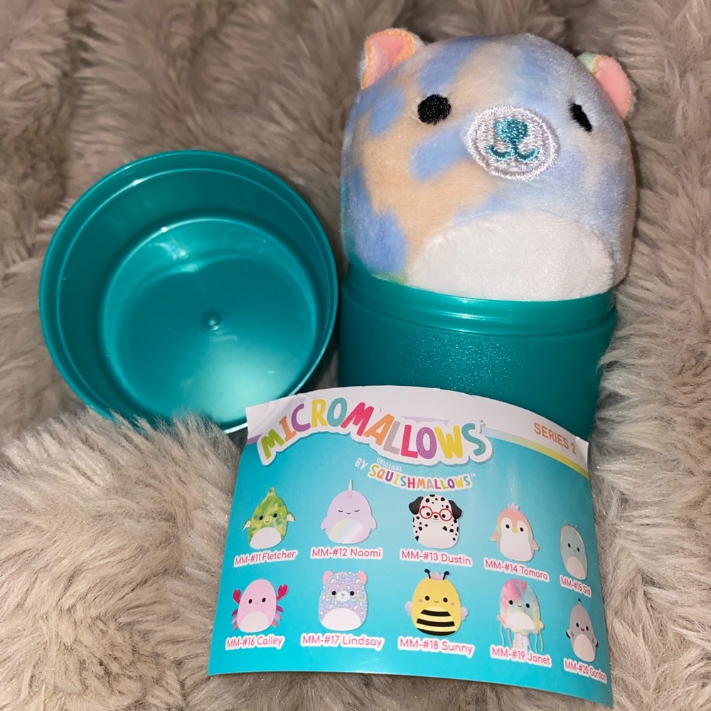 Rainbow Bear Mini Surprise Squishmallow
